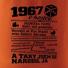 1967 v kostce
