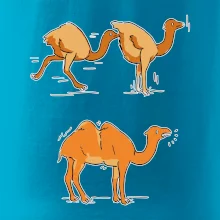 Pravda o velbloudech