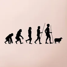 Evoluce pastevec ovcí