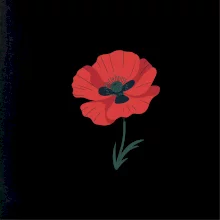 Vlčí mák kreslený velký