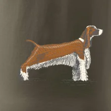 Vintage Springer spaniel