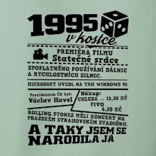 1995 v kostce