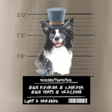 Lump a darebák border kolie