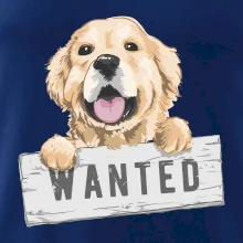Zlatý retriever - štěně wanted