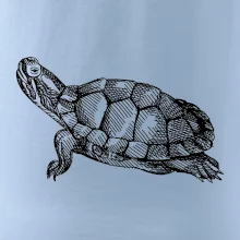 Tužkou kreslená želva