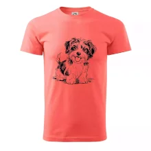 Havanský psík skica