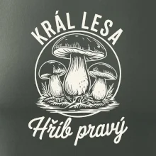 Král lesa hřib pravý