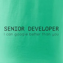 Senior developer google better than you