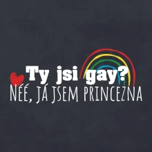 Gay princezna