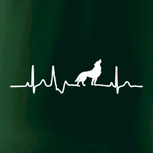 Vlk ekg Vlk ekg