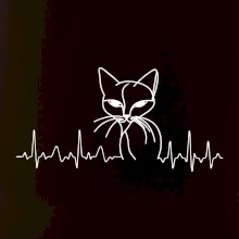 EKG křivka kočka