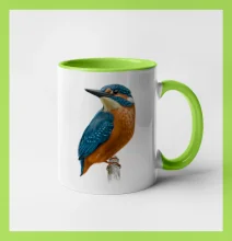 Lednáček kreslený