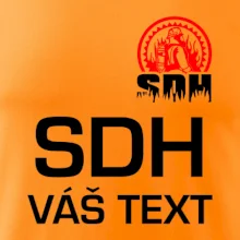 SDH logo