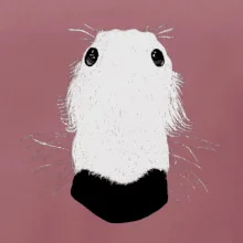 Barzoj čumák (Moňas)