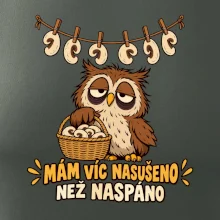 Mám víc nasušeno než naspáno