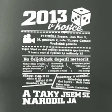 2013 v kostce