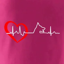 Německý ovčák ekg