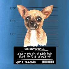 Lump a darebák čivava