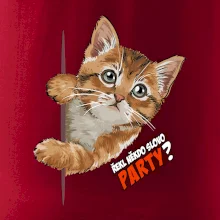 Řekl někdo slovo party