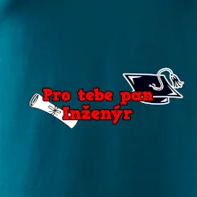 Pro tebe pan Inženýr