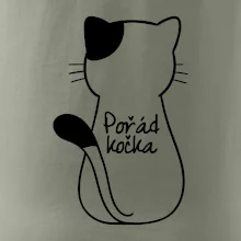 Pořád kočka