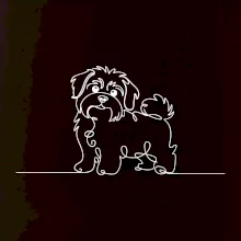 Havanský psík linka jedním tahem