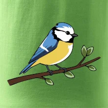 Sýkorka modřinka na větvi