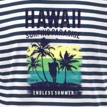 Hawaii Hawaii