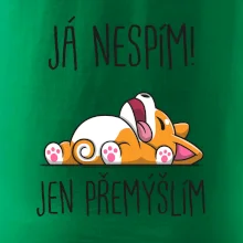 Já nespím, jen přemýšlím