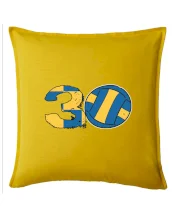 Volejbal kulaté narozeniny 30