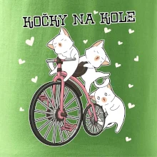 Kočky na kole