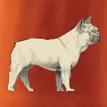 Vintage French bulldog