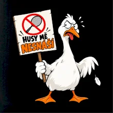 Badminton husy mě nesnáší