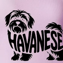 Havanese nápis v těle