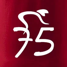 Cyklista slaví pětasedmdesátku (75)