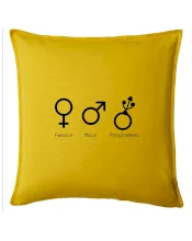 Female male programmer