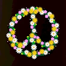 Peace symbol kopretiny