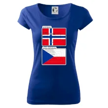 Norská a česká vlajka