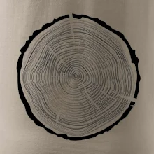 Letokruhy 50 bez věku