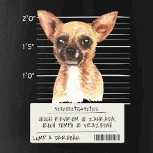 Lump a darebák čivava