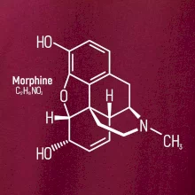 Molekulární struktura Morfin
