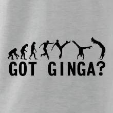 Capoeira - Got Ginga