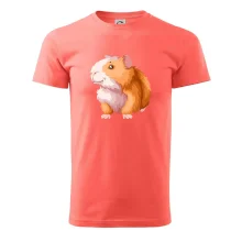 Morče - kreslené, bílo oranžové