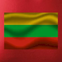 Litva vlajka obdélník