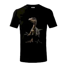 Velociraptor černá fotka