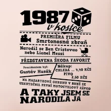 1987 v kostce
