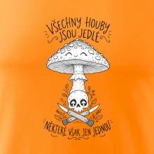Černobily obrázek - Všechny houby jsou jedlé