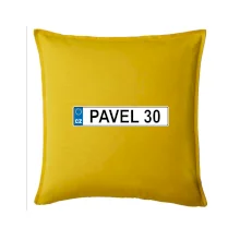 SPZ Pavel 30