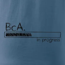 In progress  titul BcA. bakalář / bakalářka umění