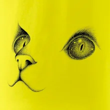 Kočičí oči černé